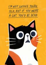 Funny Birthday Card - If You Were A Cat created by Pilea Press