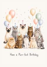 Purr-fect Birthday Party Cats Card created by Bethany Brown