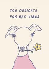 Funny Dog Lover Card | Too Delicate For Bad Vibes | Whippet Greyhound Card created by Brooke Davies