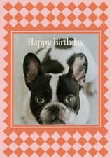 Personalised Birthday Photo Card created by AniSomi - Classic Birthday Card – Checkerboard Frame