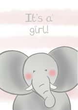 Cute Safari Elephant New Baby Girl Card - It's a Girl Card - Cute Elephant Baby created by Bumbleberry Park