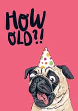 Funny Birthday Card - Cheeky Pug - How Old?! created by Lovely Paper Stuff ltd