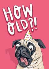 Funny Birthday Card - Cheeky Pug - How Old?! created by Lovely Paper Stuff ltd
