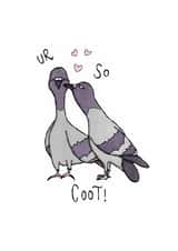 Cute Anniversary Card - Pigeons - You're So Coot created by Such Poise