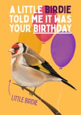 Fun Little Birdie Card - Bird Birthday Card - Goldfinch created by Sian Moore Illustration