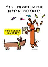 Funny Exam/Congratulations Card - Passed With Flying Colours - Clever Sausage created by mungo and shoddy
