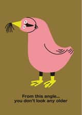 Funny Birthday Card - Cheeky Seagull - You Don't Look Any Older created by Seekprint