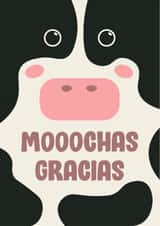 Cute Thank You Card - Cow - Moo-chas Gracias created by Katie Delia