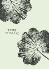 Classic Birthday Card – Alchemilla Mollis created by Unfurling Press