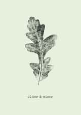Classic Birthday Card – Oak Leaf – Older And Wiser created by Unfurling Press