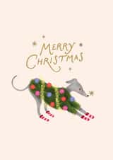 Cute Christmas Card - Whippet - Costume created by Studio Mads