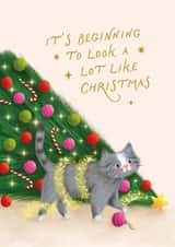 Cute Christmas Card - It's Beginning To Look A lot Like Christmas - Cat created by Studio Mads