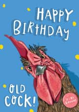 Happy Birthday Old Cock! Funny Cockerel Birthday Card for Him/Boyfriend/Husband created by Lovely Paper Stuff ltd