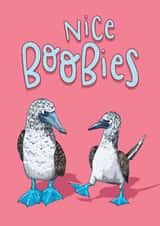 Boobies Funny Rude card for Anniversary/Love/Valentine's/Birthday card for Her created by Lovely Paper Stuff ltd
