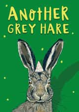 Another Grey Hare, Funny Birthday Card for Him/Her/Friend/Dad/Grandad/Partner created by Lovely Paper Stuff ltd