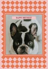 Personalised Birthday Photo Card created by AniSomi - Modern Birthday Photo Card For Anyone - Harlequin Design