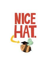 Cute Bee Nice Hat University Graduation Card created by Half Pint Print