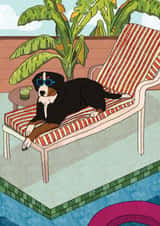 Cute Bernese Mountain Dog Card | Sunbed Dog Fun Greeting Card created by Sunny Ray Design
