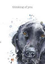 Cute Thinking Of You Card - Black Labrador - Pet Loss created by Little Red Boots
