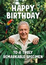 Funny Birthday Card - David Attenborough - Remarkable Specimen created by Bonne Nouvelle