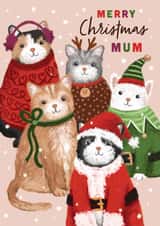 Cute Cats Christmas Mum Card - Cats In Christmas Outfits created by Debbie Daley Illustrations
