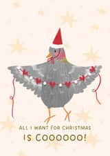 Cute Christmas Pigeon Card for Partner - All I Want for Christmas is COO - Funny created by Kitty Strand