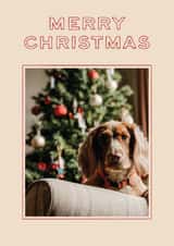 Personalised Christmas Photo Card created by AniSomi - Classic Christmas Card – Minimalist Typography