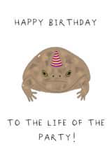 Funny grumpy birthday frog! created by AJS STUDIOS