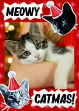 Personalised Christmas Photo Card created by Violet and Alfie - Christmas Card For Cat Lover - Meowy Catmas