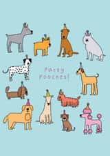 Fun Birthday Card For Friends And Family- Dog Design- Party Pooches created by Heather Buchanan