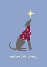Cute Christmas Card - Blue Greyhound / Whippet - Jumper created by Ella Goddard