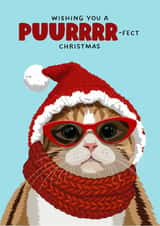 Cute Christmas Card - Chilly Cat created by Rich Girl Paper