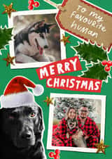 Personalised Christmas Photo Card created by Violet and Alfie - Christmas Card From The Dog - To My Favourite Human