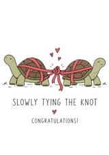 Funny Wedding Card for Couple – Slowly Tying the Knot Tortoises created by Amy Corlett