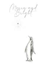 Christmas card classic drawing - penguin illustration - for friend or family created by Victoria Lucy Williams