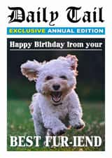 Personalised Birthday Photo Card created by Of Life & Lemons Ltd. - Funny Birthday Card - Daily Tail Newspaper