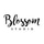 Profile picture for Blossom Studio