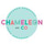 Profile picture for Chameleon and Co