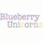 Profile picture for Blueberry Unicorns