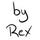 Profile picture for byREX