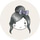 Profile picture for Anna Reid Design & Illustration