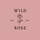 Profile picture for Wild Rose