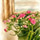 Profile picture for Lola McCue