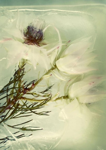 Beauty frozen in time 3 - photo - classic - birthday - anniversary created by Chantal Pronk