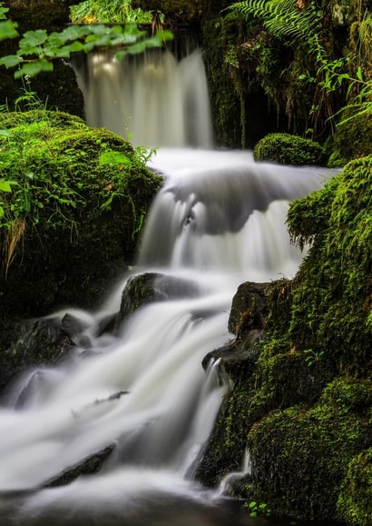 MALE FEMALE Card 22374 created by Dave Peck