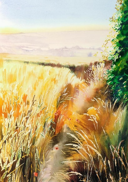 summer sunshine Card 22757 created by L i z  H a n k i n s