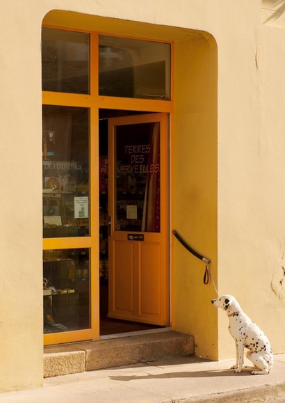 Photography MALE Card 23395 created by Craig Easton