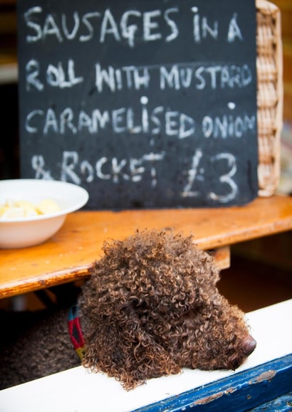 Photography MALE Card 23397 created by Craig Easton