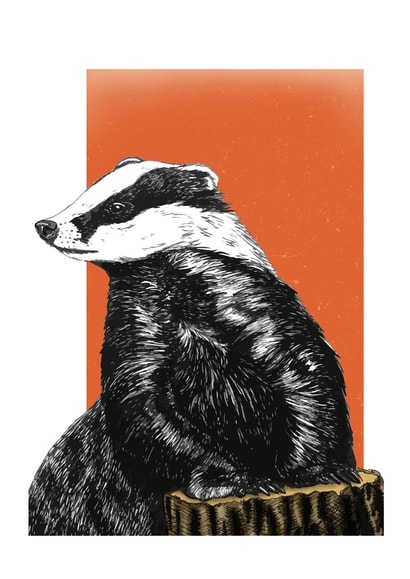 Badger wildlife Card 24779 created by Rebecca Lehmann