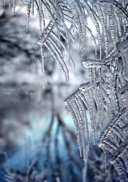 winter love Photography Card 23488 created by Alina Shevelina